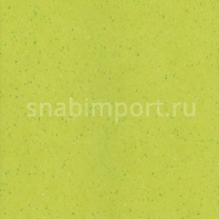 Виниловый ламинат Wineo Purline Levante Apple Green PB00185LE зеленый — купить в Москве в интернет-магазине Snabimport