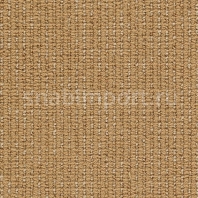 Ковровое покрытие Karastan Peridot Apple Wood оранжевый