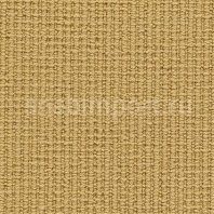 Ковровое покрытие Karastan Peridot Regency Gold желтый