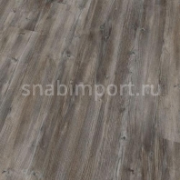Виниловый ламинат Wineo PURLINE WOOD Acadia PLEW10006 серый — купить в Москве в интернет-магазине Snabimport