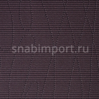 Ковровое покрытие Carpet Concept Ply Brush berry Фиолетовый — купить в Москве в интернет-магазине Snabimport