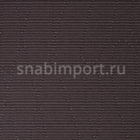 Ковровое покрытие Carpet Concept Ply Brush espresso brown коричневый — купить в Москве в интернет-магазине Snabimport