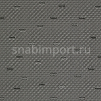 Ковровое покрытие Carpet Concept Ply Line beach grass Серый — купить в Москве в интернет-магазине Snabimport