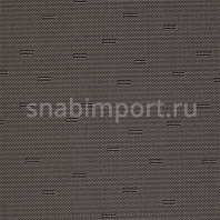 Ковровое покрытие Carpet Concept Ply Line warm grey Серый — купить в Москве в интернет-магазине Snabimport