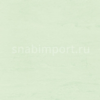 Специальное покрытие для стен Polyflor Polyclad Plus PU 2810 Spring Fern — купить в Москве в интернет-магазине Snabimport