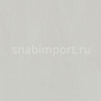 Специальное покрытие для стен Polyflor Polyclad Pro PU 4095 Grey Steel — купить в Москве в интернет-магазине Snabimport