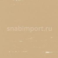 Виниловый ламинат Polyflor Polyflex Plus PU 6060 Magnolia — купить в Москве в интернет-магазине Snabimport