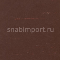 Виниловый ламинат Polyflor Polyflex Plus PU 6300 Dark Brown — купить в Москве в интернет-магазине Snabimport