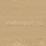 Виниловый ламинат Polyflor Polyflex Plus PU 7080 Avon Sand — купить в Москве в интернет-магазине Snabimport