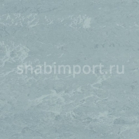Виниловый ламинат Polyflor Polyflex Plus PU 7320 Lomond Grey — купить в Москве в интернет-магазине Snabimport