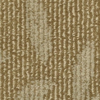 Ковровое покрытие Masland Preferred 9545-897 Серый — купить в Москве в интернет-магазине Snabimport