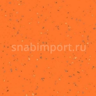 Акустический линолеум Gerflor Taralay Premium Comfort 4142 — купить в Москве в интернет-магазине Snabimport
