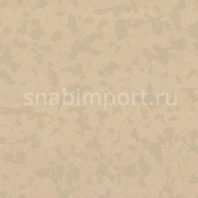Коммерческий линолеум Gerflor Taralay Premium Compact 4347 — купить в Москве в интернет-магазине Snabimport