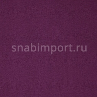 Ковровое покрытие ITC Balta Prominent 18 Фиолетовый