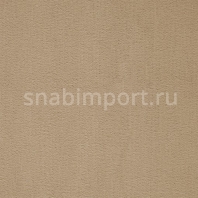 Ковровое покрытие ITC Balta Prominent 37 Бежевый — купить в Москве в интернет-магазине Snabimport