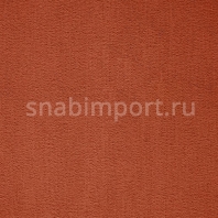 Ковровое покрытие ITC Balta Prominent 66 коричневый