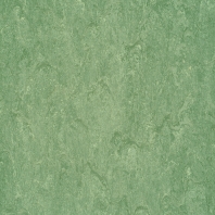 Натуральный линолеум Gerflor DLW Marmorette PUR-125-043 зеленый — купить в Москве в интернет-магазине Snabimport