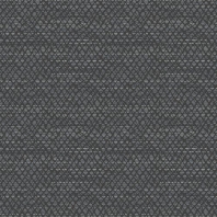 Ковер Durkan DefinityModesto QTW42531 чёрный — купить в Москве в интернет-магазине Snabimport