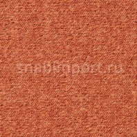 Ковровое покрытие ITC Balta Quartz 54 коричневый — купить в Москве в интернет-магазине Snabimport