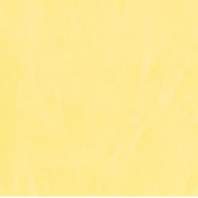 Краска Oikos Декоративная линия RAFFAELLO DECOR STUCCO R181 желтый — купить в Москве в интернет-магазине Snabimport