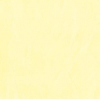 Краска Oikos Декоративная линия RAFFAELLO DECOR STUCCO R1812 желтый — купить в Москве в интернет-магазине Snabimport