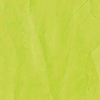 Краска Oikos Декоративная линия RAFFAELLO DECOR STUCCO R48 зеленый — купить в Москве в интернет-магазине Snabimport
