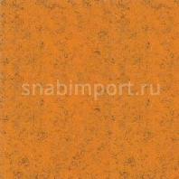 Иглопробивной ковролин Dura Contract Robusta atelier fliese D1 Оранжевый — купить в Москве в интернет-магазине Snabimport