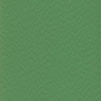 Спортивное покрытие Gerflor Recreation 45 6556 VERDE зеленый — купить в Москве в интернет-магазине Snabimport