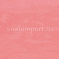 Каучуковые спортивные покрытия Remp Sportway Remplex M red Розовый — купить в Москве в интернет-магазине Snabimport