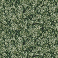 Ковровое покрытие Ege Nature RF52202905 зеленый — купить в Москве в интернет-магазине Snabimport