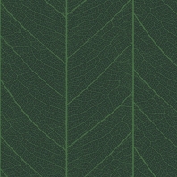 Ковровое покрытие Ege Nature RF52202912 зеленый — купить в Москве в интернет-магазине Snabimport