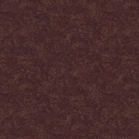 Ковровое покрытие Ege Essentials RF52754970 коричневый — купить в Москве в интернет-магазине Snabimport
