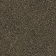Ковровое покрытие Ege Nature RF52952239 коричневый — купить в Москве в интернет-магазине Snabimport