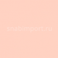 Светофильтр Rosco Roscolene-803 Бежевый — купить в Москве в интернет-магазине Snabimport