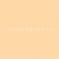 Светофильтр Rosco Roscolene-808 Бежевый — купить в Москве в интернет-магазине Snabimport