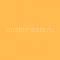 Светофильтр Rosco Roscolene-810 желтый — купить в Москве в интернет-магазине Snabimport
