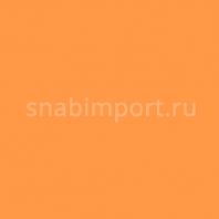 Светофильтр Rosco Roscolene-813 оранжевый — купить в Москве в интернет-магазине Snabimport