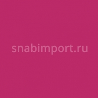 Светофильтр Rosco Roscolene-837 Красный — купить в Москве в интернет-магазине Snabimport