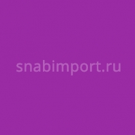 Светофильтр Rosco Roscolene-838 Фиолетовый — купить в Москве в интернет-магазине Snabimport