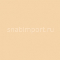 Светофильтр Rosco Roscolux 08 Бежевый — купить в Москве в интернет-магазине Snabimport
