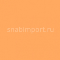 Светофильтр Rosco Roscolux 16 оранжевый — купить в Москве в интернет-магазине Snabimport
