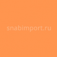 Светофильтр Rosco Roscolux 18 оранжевый — купить в Москве в интернет-магазине Snabimport