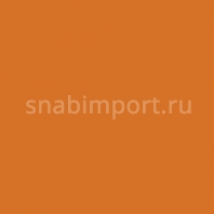 Светофильтр Rosco Roscolux 2002 оранжевый — купить в Москве в интернет-магазине Snabimport