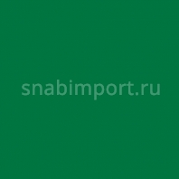 Светофильтр Rosco Roscolux 2004 зеленый — купить в Москве в интернет-магазине Snabimport