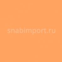 Светофильтр Rosco Roscolux 316 оранжевый — купить в Москве в интернет-магазине Snabimport