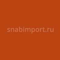 Светофильтр Rosco Roscolux 325 оранжевый — купить в Москве в интернет-магазине Snabimport