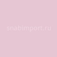 Светофильтр Rosco Roscolux 4815 Бежевый — купить в Москве в интернет-магазине Snabimport