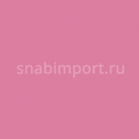 Светофильтр Rosco Roscolux 4860 Красный — купить в Москве в интернет-магазине Snabimport