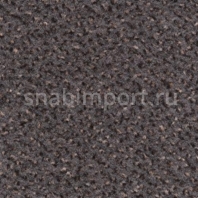Контрактный ковролин Condor Сarpets Rubin 149 Серый — купить в Москве в интернет-магазине Snabimport