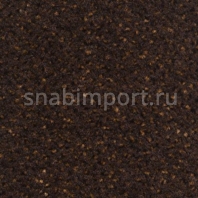 Контрактный ковролин Condor Сarpets Rubin 166 коричневый — купить в Москве в интернет-магазине Snabimport